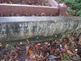 image of grave number 373646